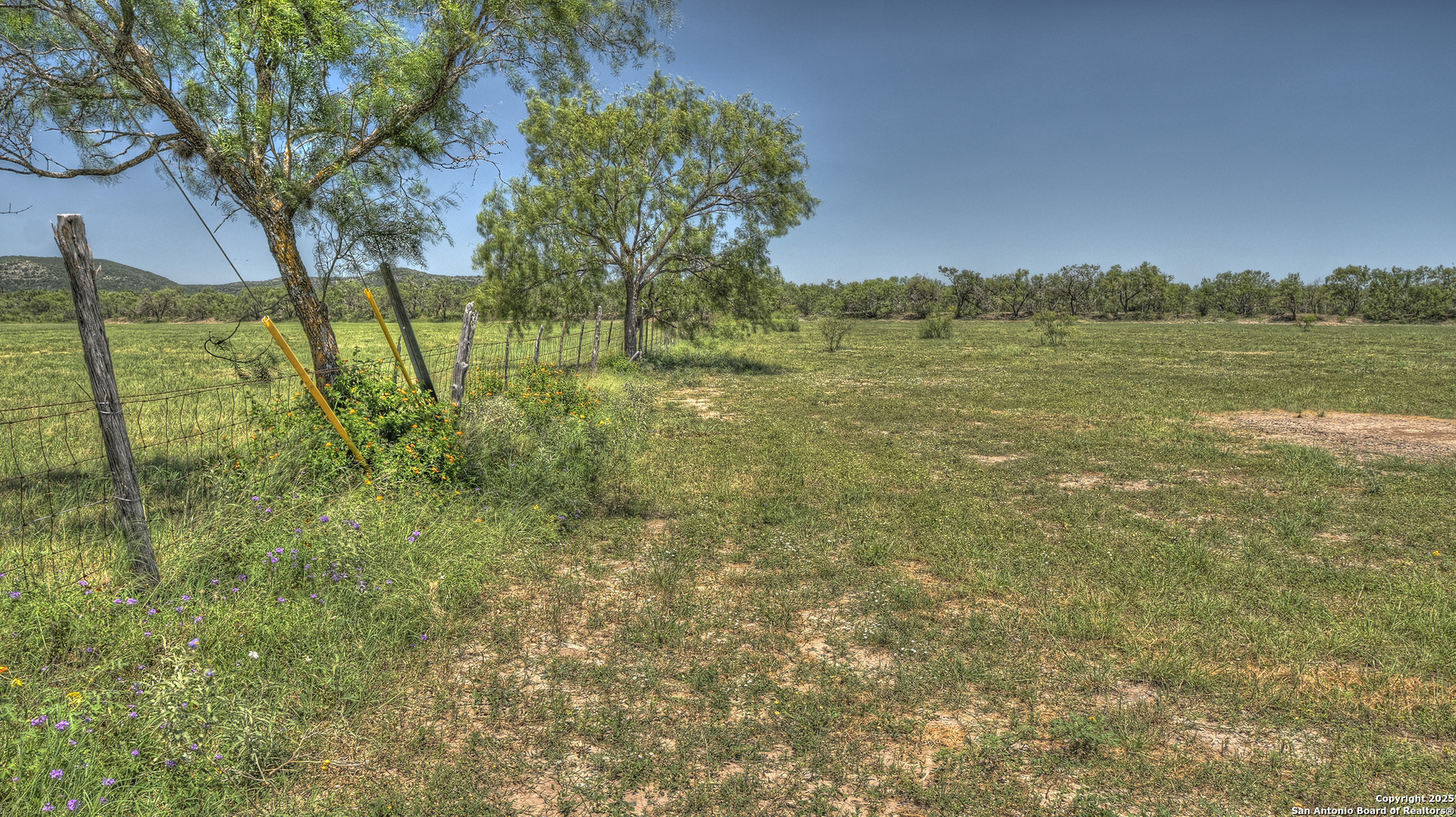 319 RiverTree N Road Rio Frio, TX 78879 - Photo 13 of 21 a view of a garden