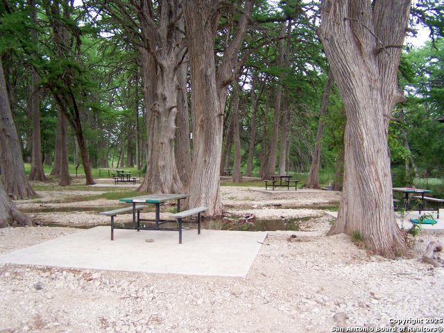 319 RiverTree N Road Rio Frio, TX 78879 - Photo 21 of 21 a view of a tree in a yard