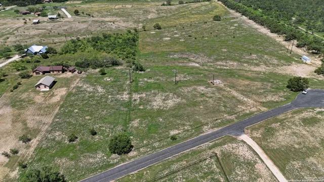 a view of a yard with plants
