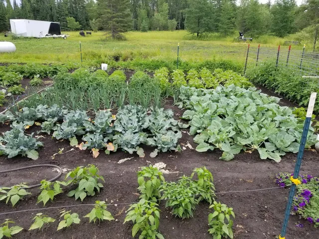 $299,000 | 1693 Town Road 112, Birchdale, MN 56623