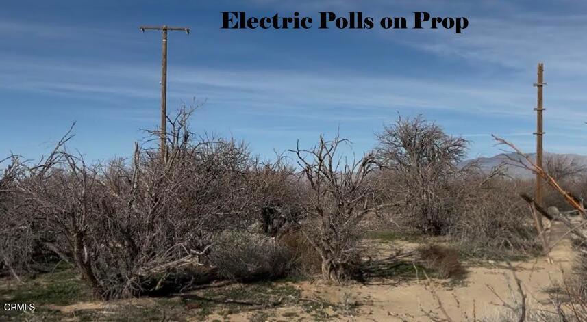 91525 Palm Road Baker, CA 92309 - Photo 10 of 40 Back of Mobile Home showing Electric Pol