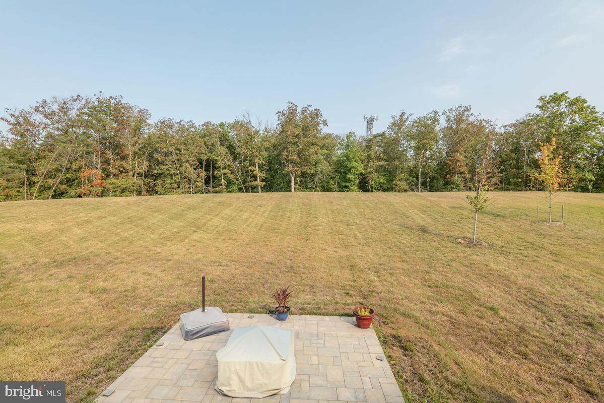 14305 Claggett Run Road Brandywine, MD 20613 - Photo 78 of 83 Gallery Image 78