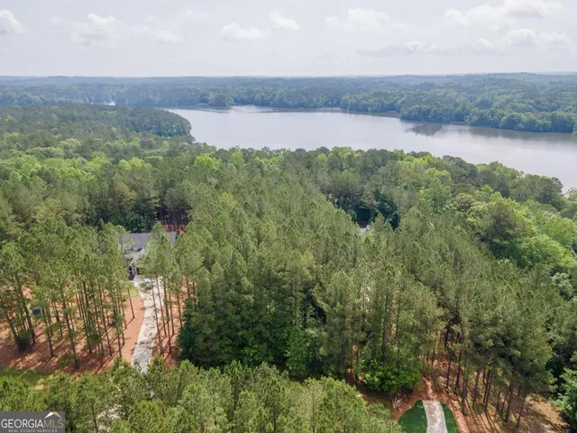 an aerial view of a houses with outdoor space and trees