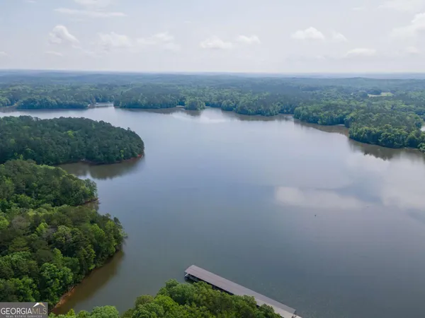 a view of a lake in middle of forest