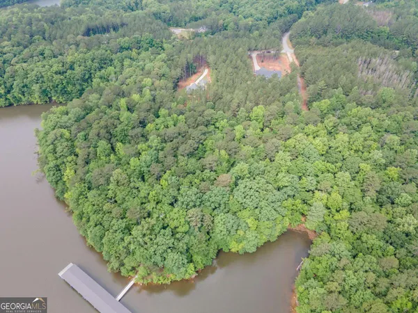 a view of a yard with plants and a bench
