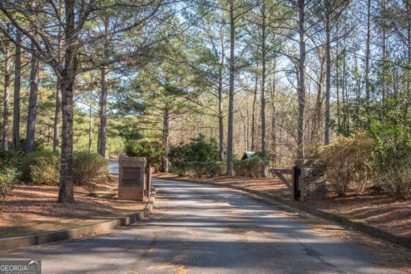 a park view with large trees