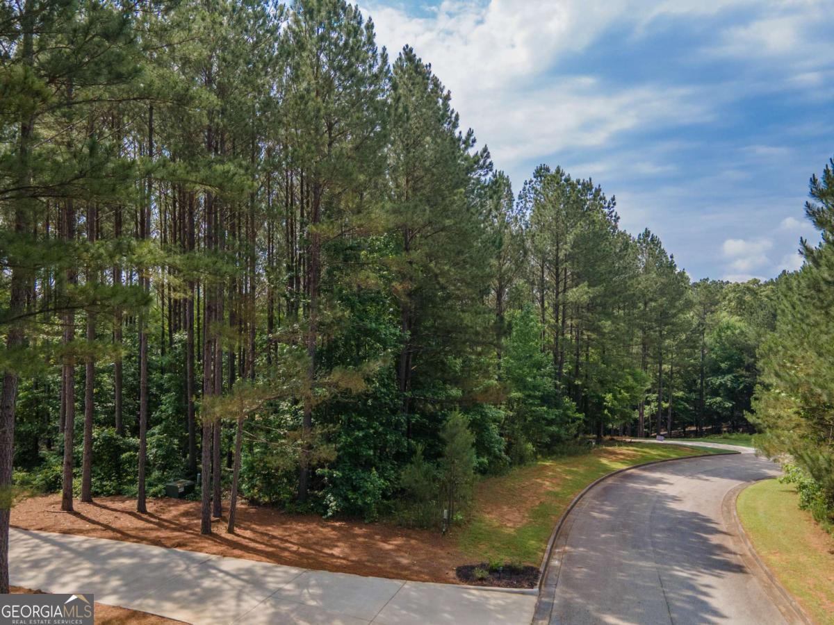 56 Firefly Run LaGrange, GA 30240 - Photo 5 of 25 a view of a yard