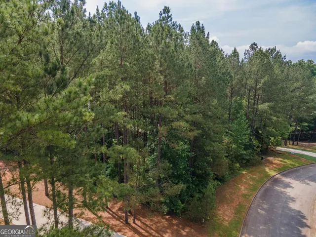 a view of a forest with trees in front of it
