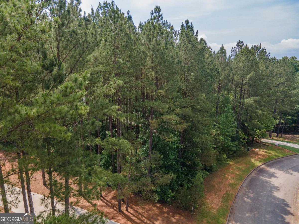 56 Firefly Run LaGrange, GA 30240 - Photo 8 of 25 a view of a forest with trees in front of it