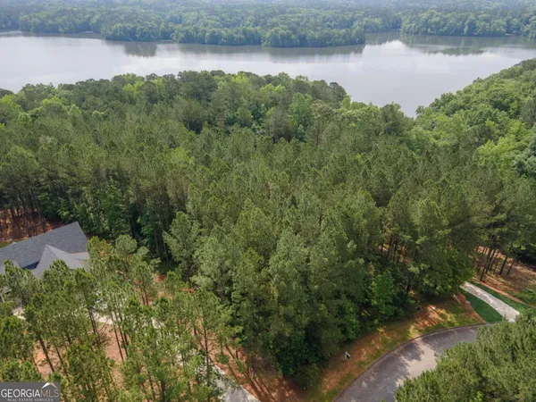a view of a lake with a city