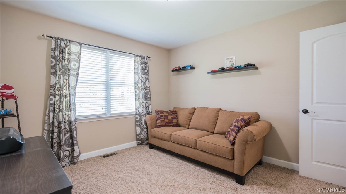 20514 Woodland Road Sutherland, VA 23885 - Photo 34 of 37 Gallery Image 34
