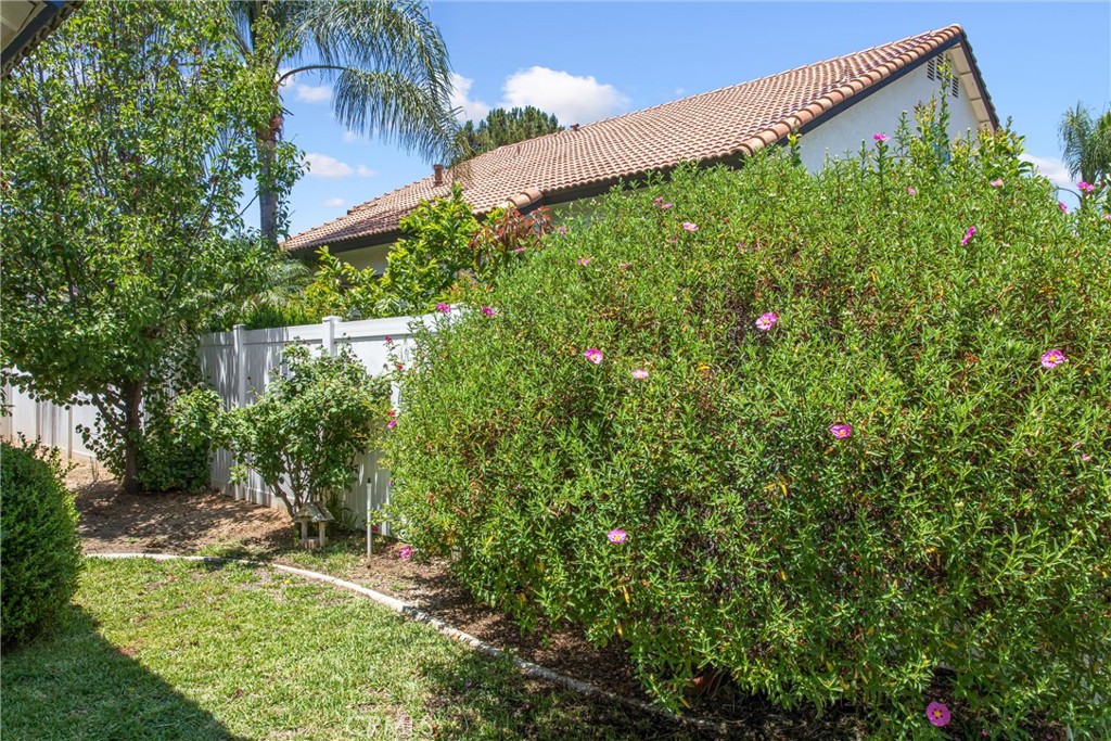 8742 Feathertop Road Riverside, CA 92508 - Photo 35 of 40 Green and lush!