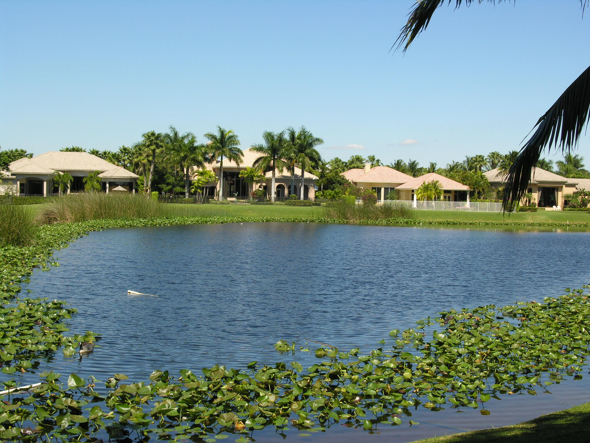 17268 Ryton Lane Boca Raton, FL 33496 - Photo 79 of 80 DSCN8822