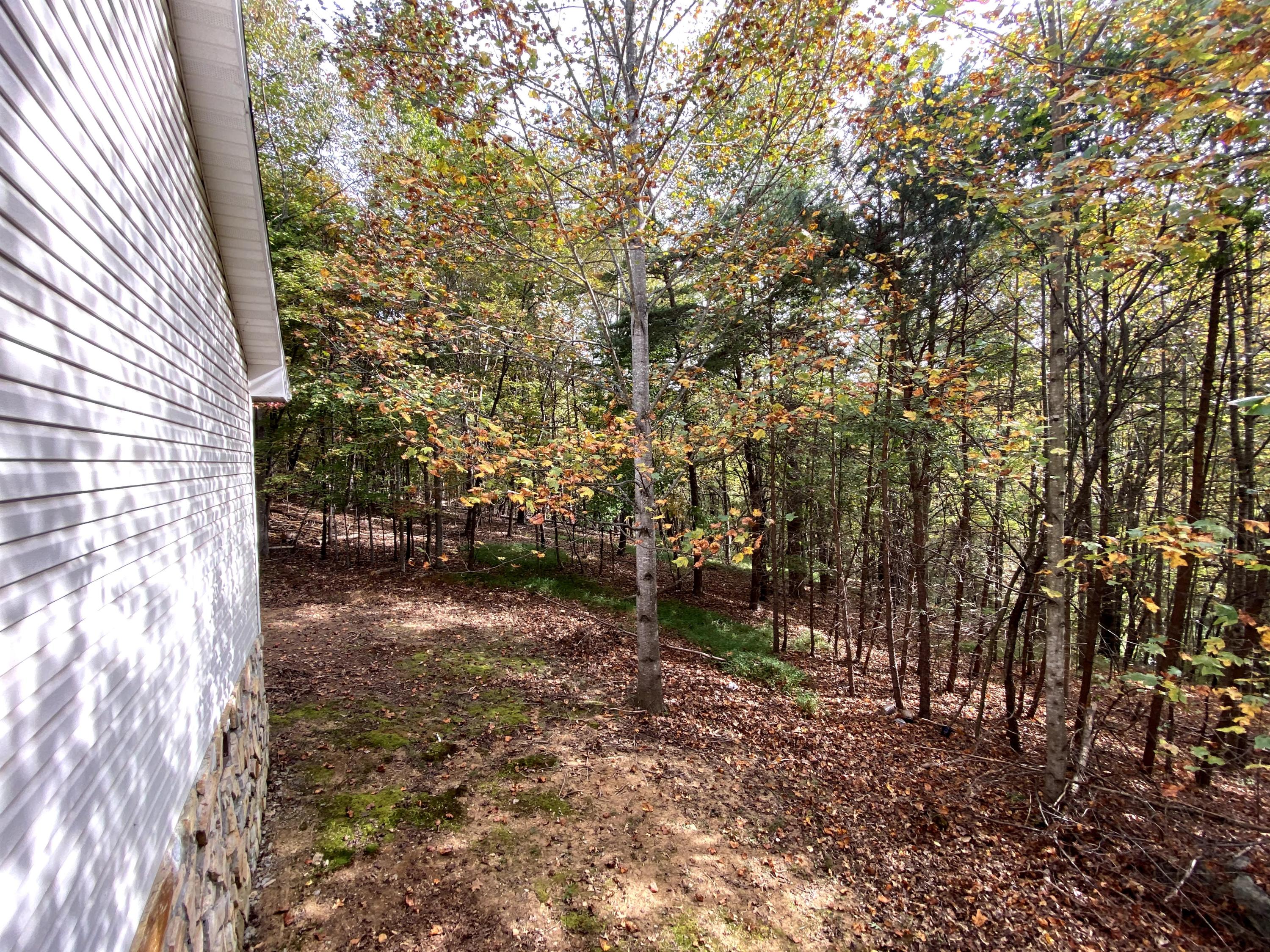 35 Silver Lake Road Hardy, VA 24101 - Photo 45 of 47 a view of a yard with plants and trees