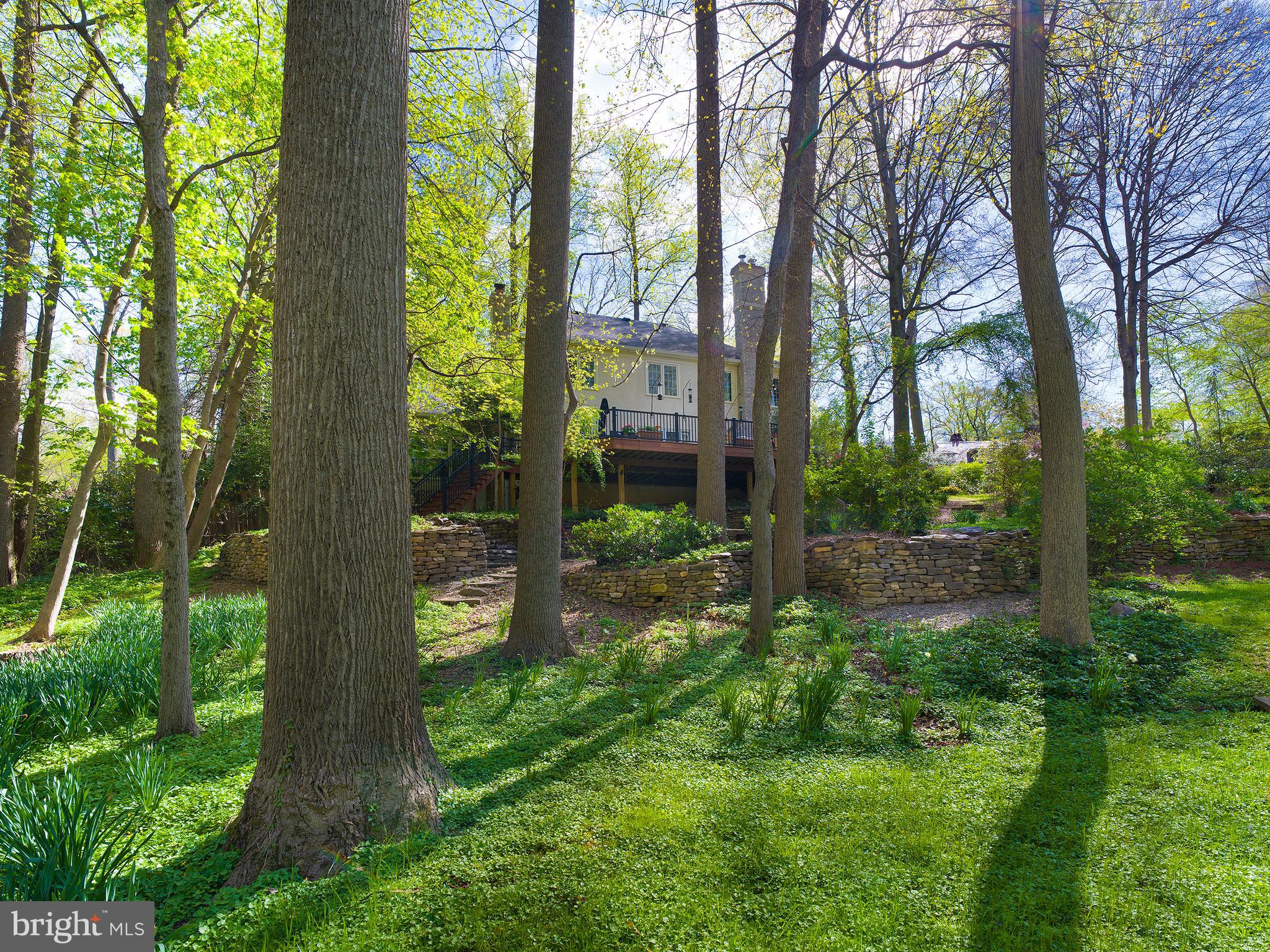 134 Anton Road Wynnewood, PA 19096 - Photo 32 of 32 Grounds