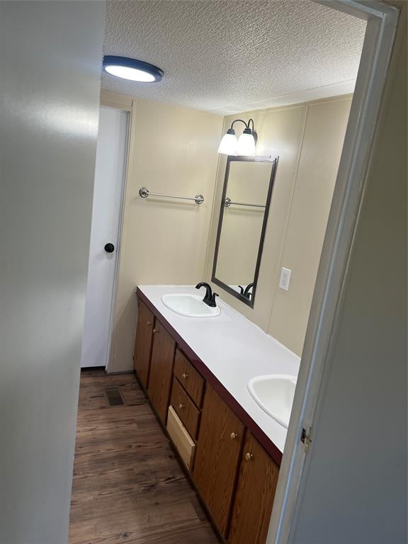3370 Surfside Drive May, TX 76857 - Photo 20 of 28 a bathroom with a sink a mirror and a toilet