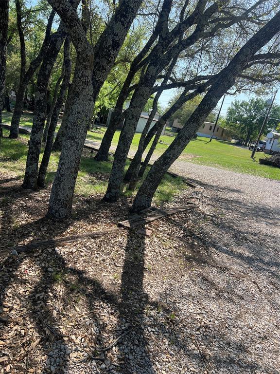 3370 Surfside Drive May, TX 76857 - Photo 5 of 28 a view of a yard with plants and a large tree