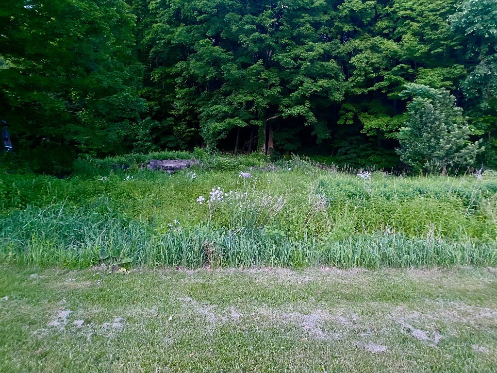 149 Whately Road Conway, MA 01341 - Photo 31 of 34 Gallery Image 31
