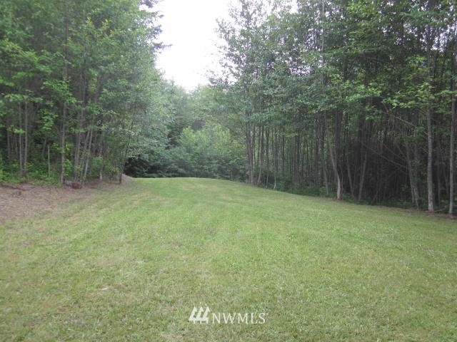 61650 Pleasant Valley Road Mineral, WA 98355 - Photo 20 of 21 Gallery Image 20