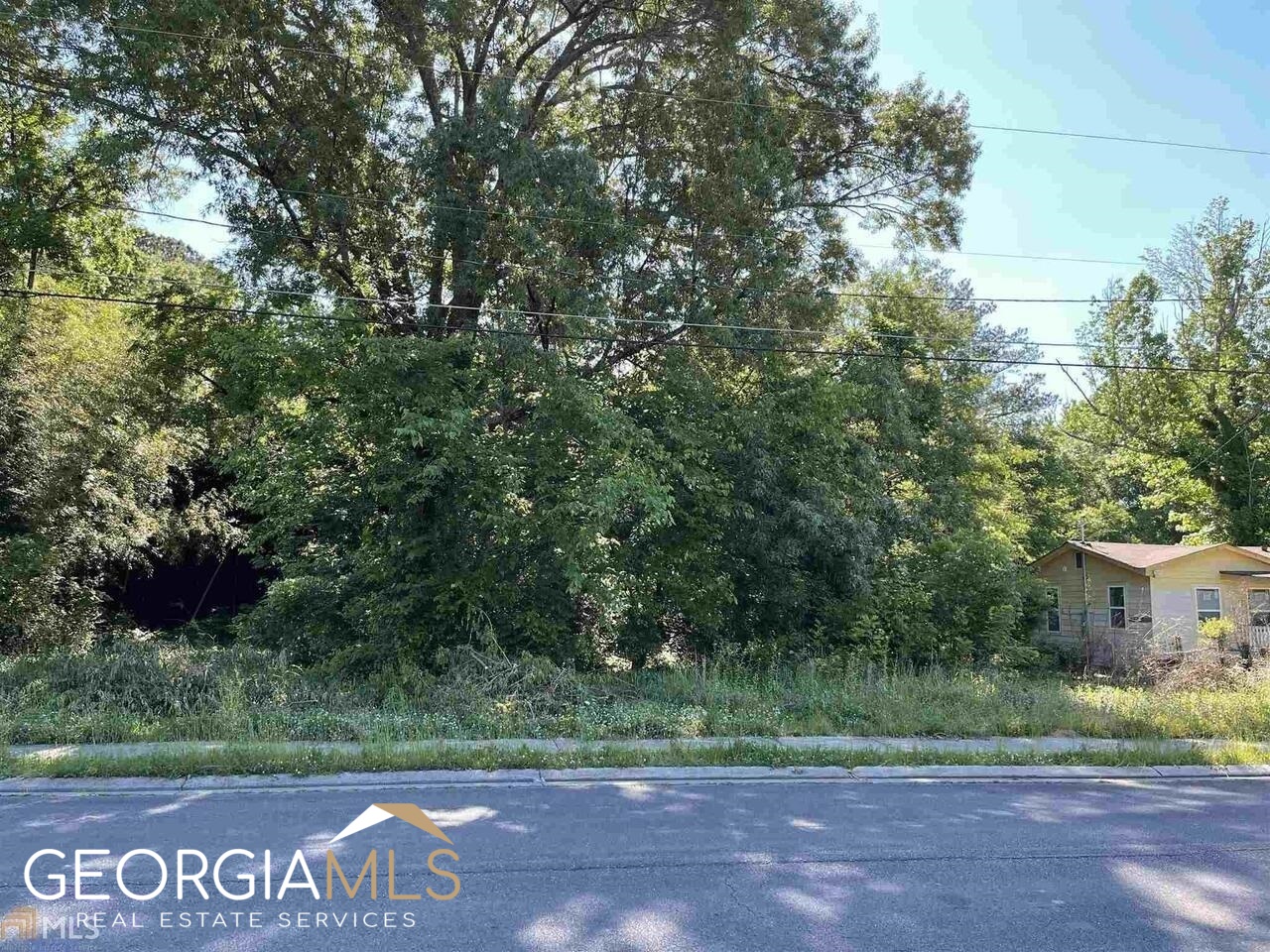 0 Wilson Avenue Rome, GA 30161 - Photo 1 of 1 a view of a park that has big trees
