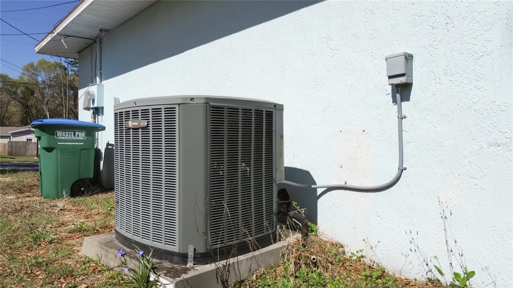 457 North Rooks Avenue Inverness, FL 34453 - Photo 48 of 61 a view of a backyard with a tree