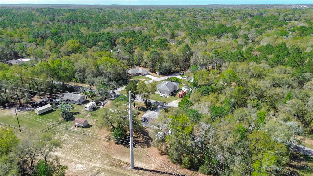 457 North Rooks Avenue Inverness, FL 34453 - Photo 60 of 61 a view of a forest with a street