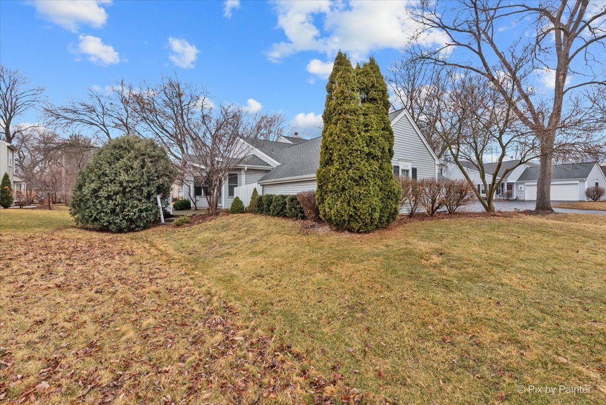 1095 Devonshire Avenue Naperville, IL 60540 - Photo 37 of 48 a view of a yard with an trees