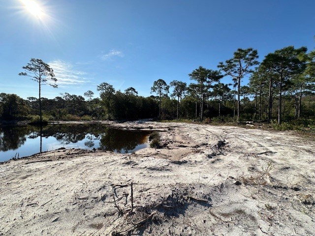 Parcel3 B Houston Road Eastpoint, FL 32328 - Photo 6 of 6