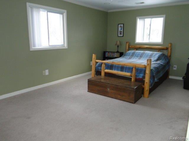 193 East Burnside Road North Branch, MI 48461 - Photo 16 of 30 Master Bedroom 1