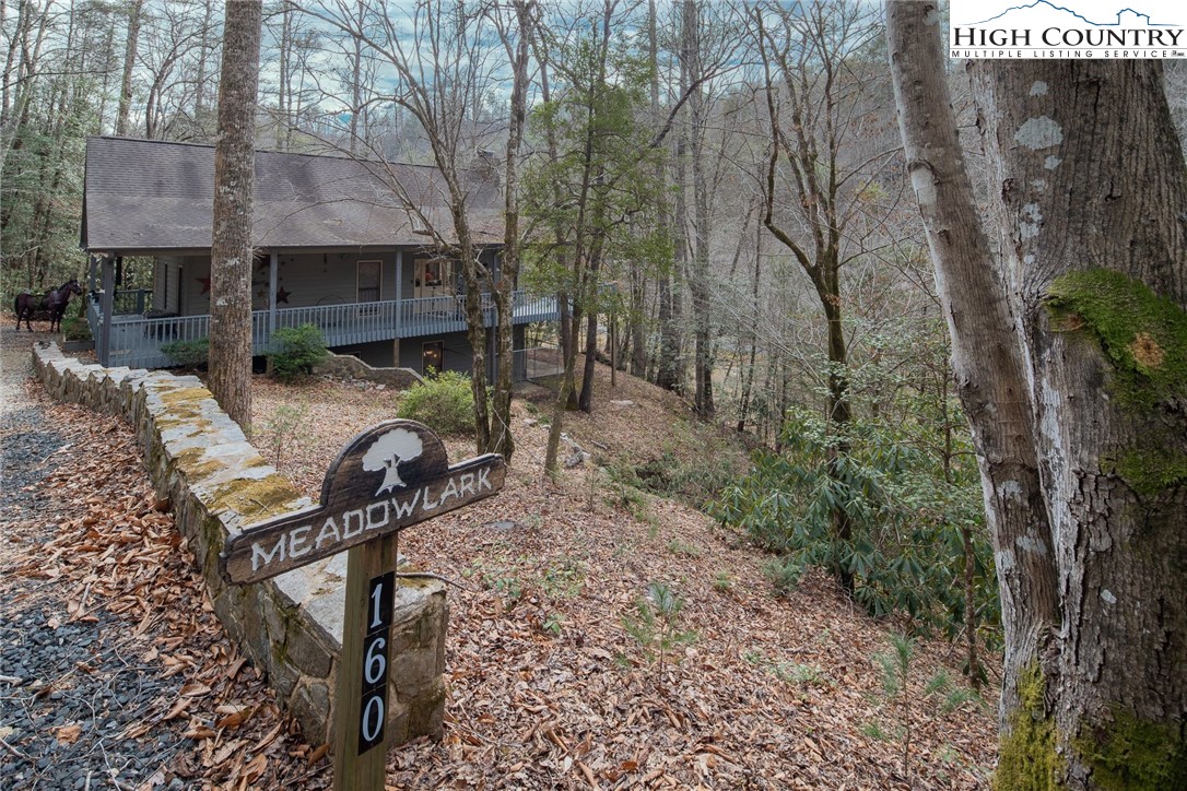 1278 Meadow Road Ferguson, NC 28624 - Photo 37 of 38 a view of backyard with seating area and trees