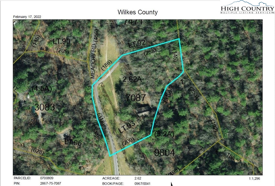 1278 Meadow Road Ferguson, NC 28624 - Photo 38 of 38 a view of a forest