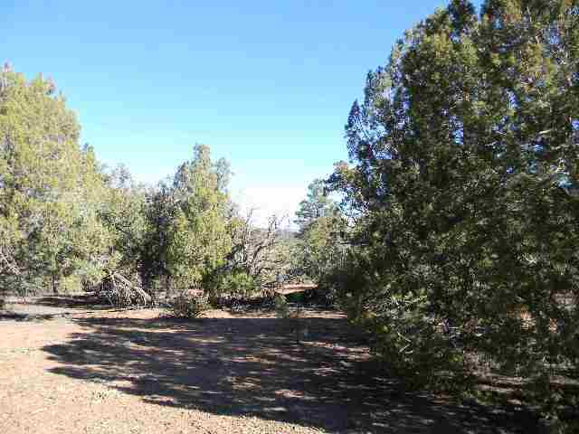 Tbd Wilson Road Show Low, AZ 85901 - Photo 2 of 11