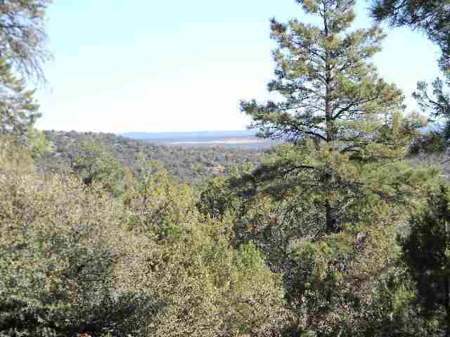 Tbd Wilson Road Show Low, AZ 85901 - Photo 3 of 11