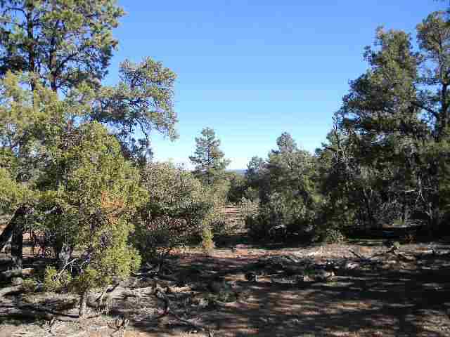 Tbd Wilson Road Show Low, AZ 85901 - Photo 5 of 11