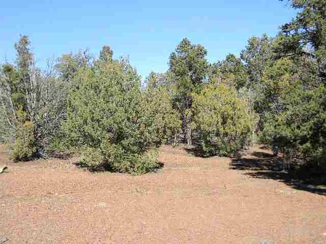 Tbd Wilson Road Show Low, AZ 85901 - Photo 7 of 11