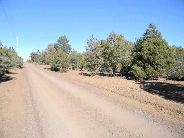 Tbd Wilson Road Show Low, AZ 85901 - Photo 10 of 11