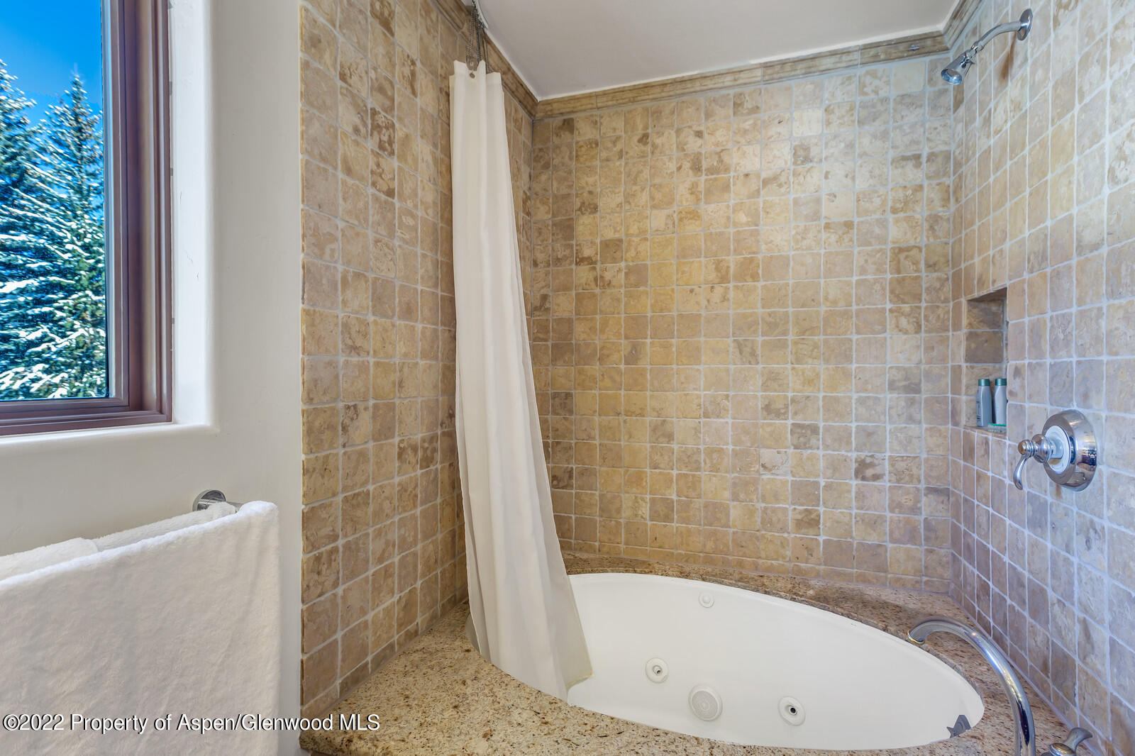 104 West Cooper Avenue, Unit 3 Aspen, CO 81611 - Photo 12 of 14 a bathroom with a bathtub and shower
