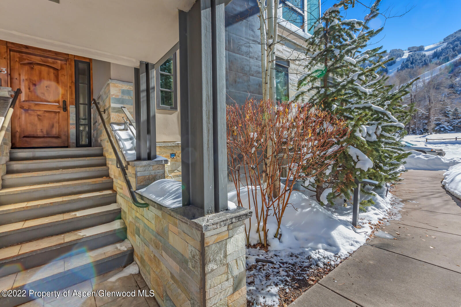 104 West Cooper Avenue, Unit 3 Aspen, CO 81611 - Photo 2 of 14 a view of stairs