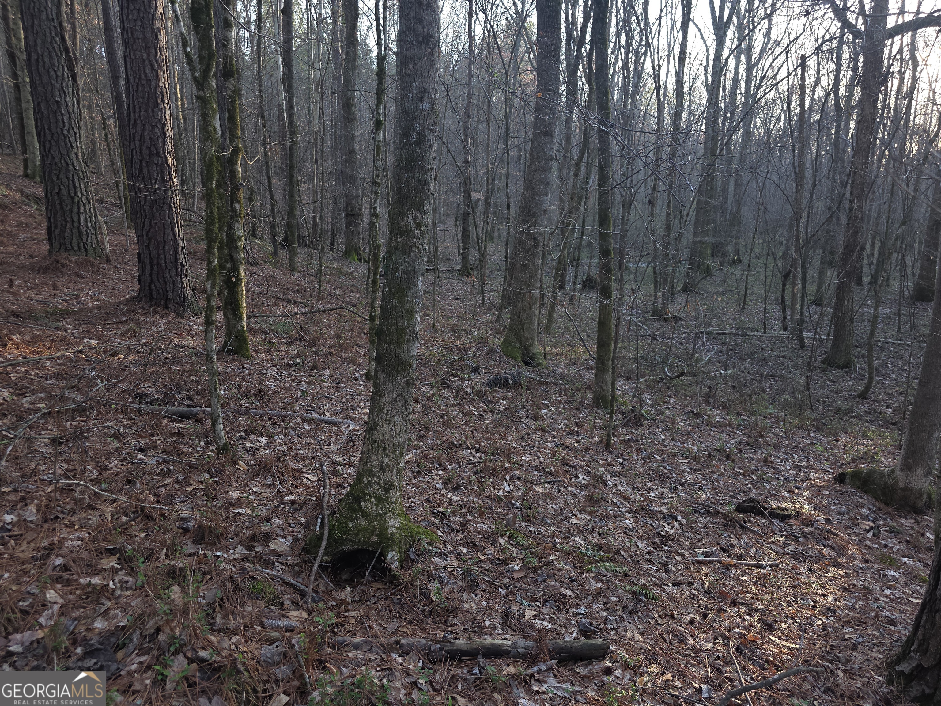 0 Golden Road Temple, GA 30179 - Photo 3 of 11