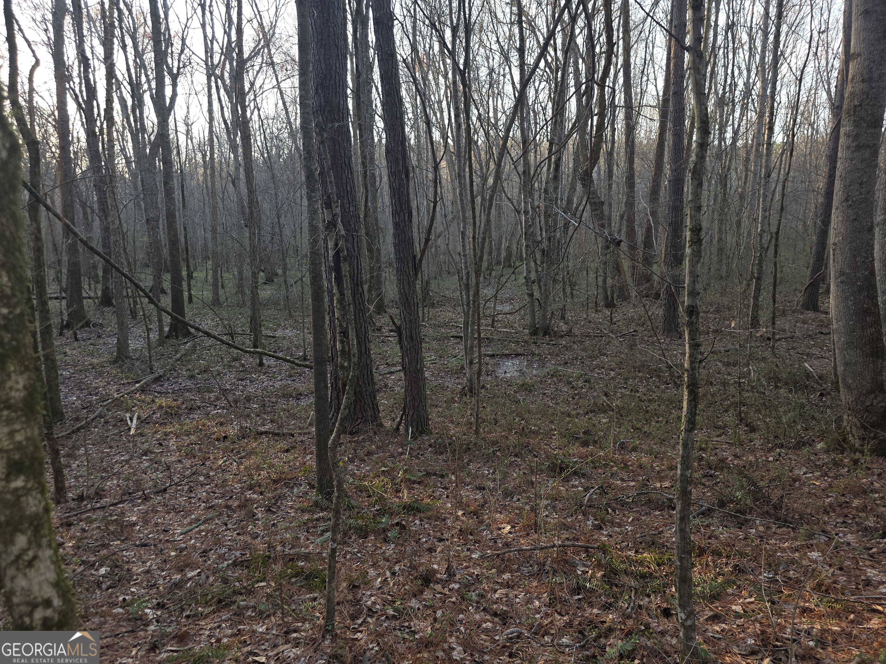 0 Golden Road Temple, GA 30179 - Photo 4 of 11