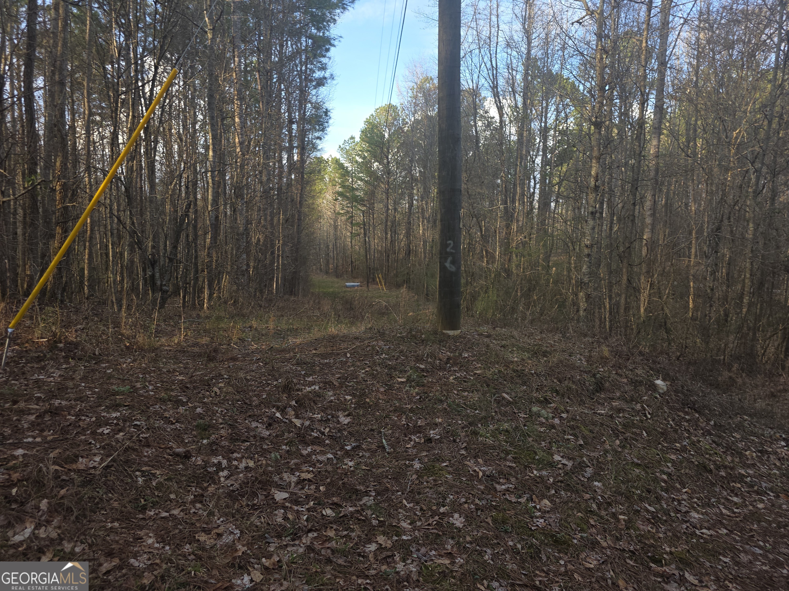 0 Golden Road Temple, GA 30179 - Photo 5 of 11