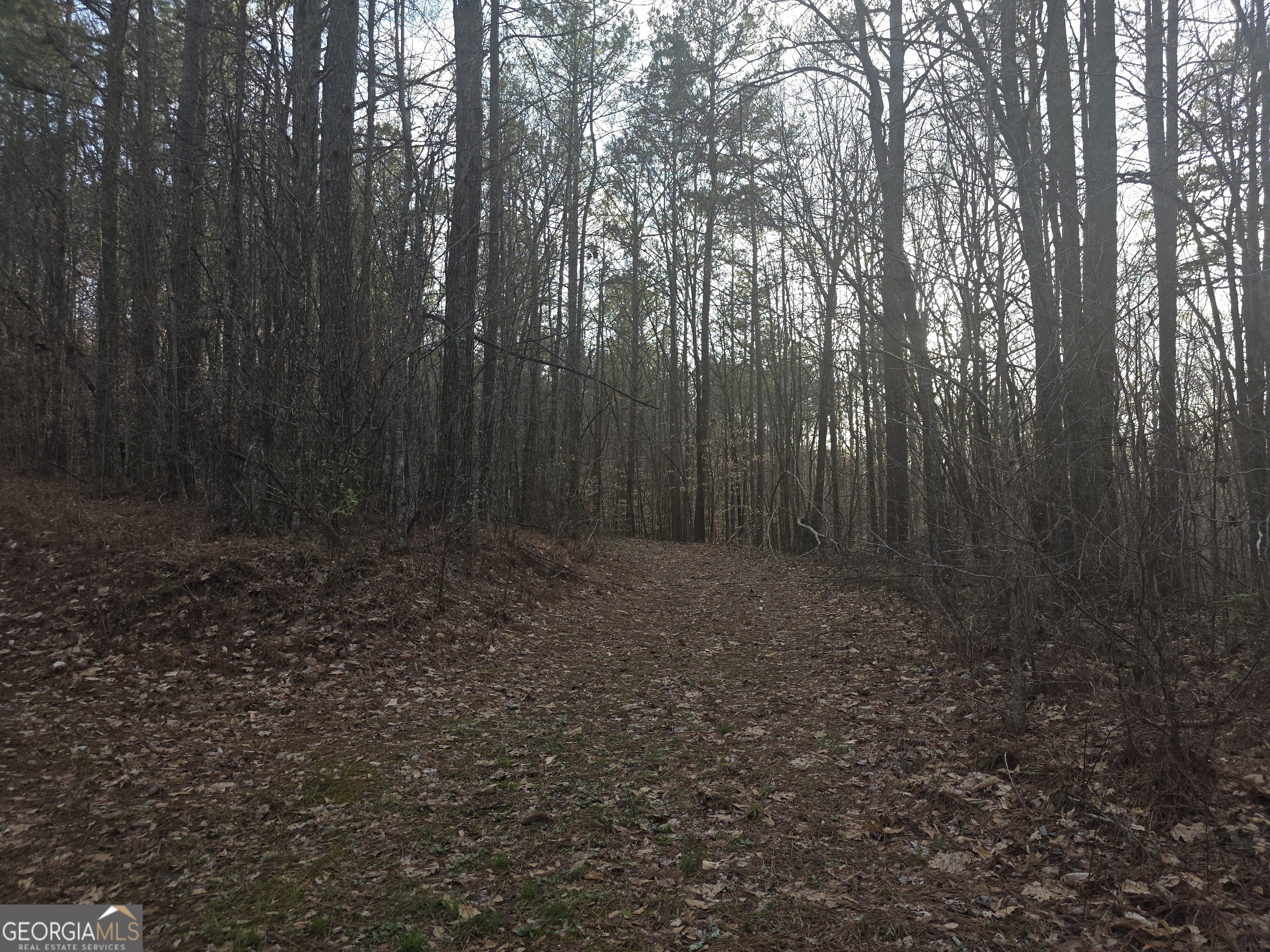 0 Golden Road Temple, GA 30179 - Photo 6 of 11