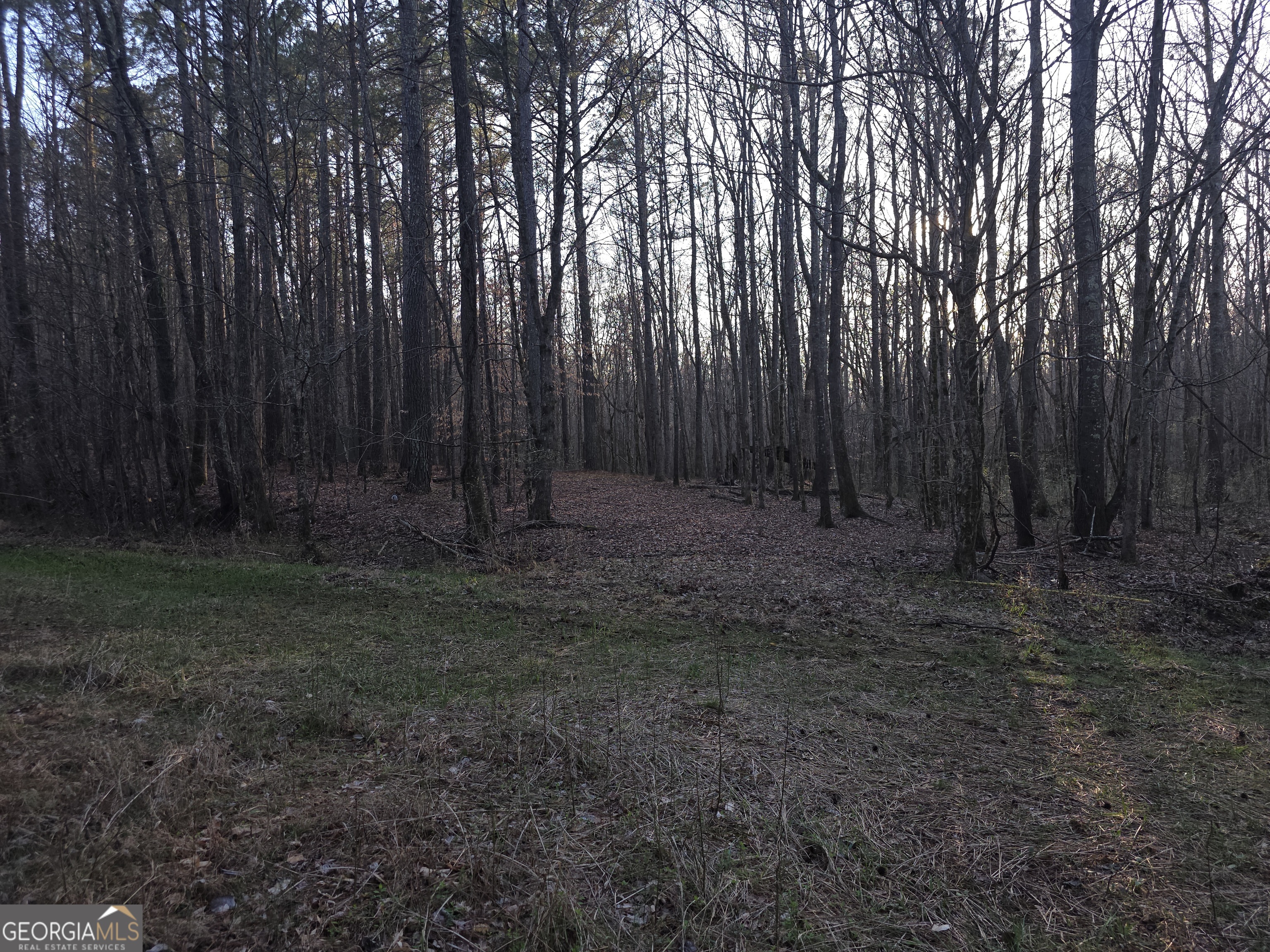 0 Golden Road Temple, GA 30179 - Photo 7 of 11