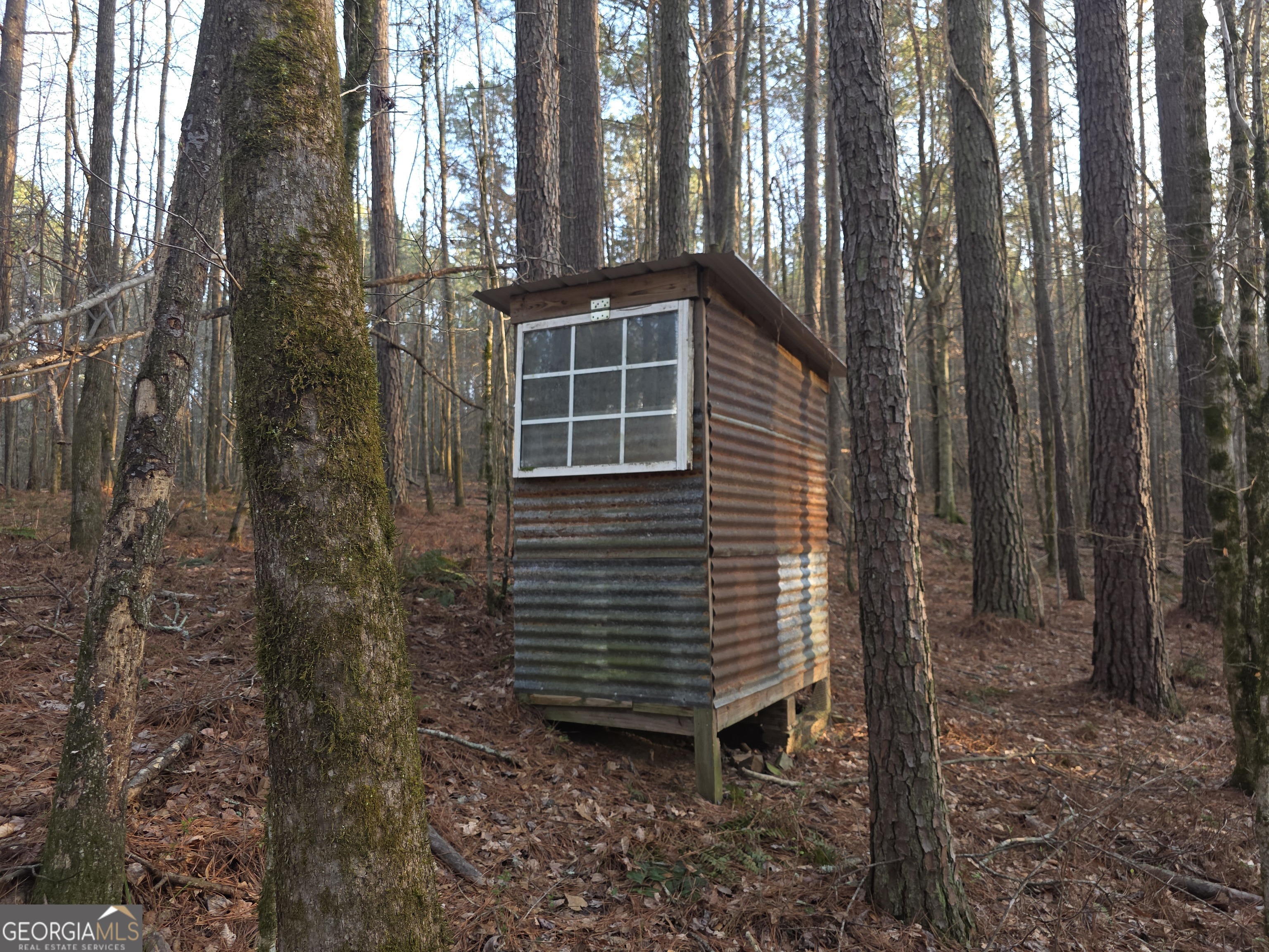 0 Golden Road Temple, GA 30179 - Photo 8 of 11