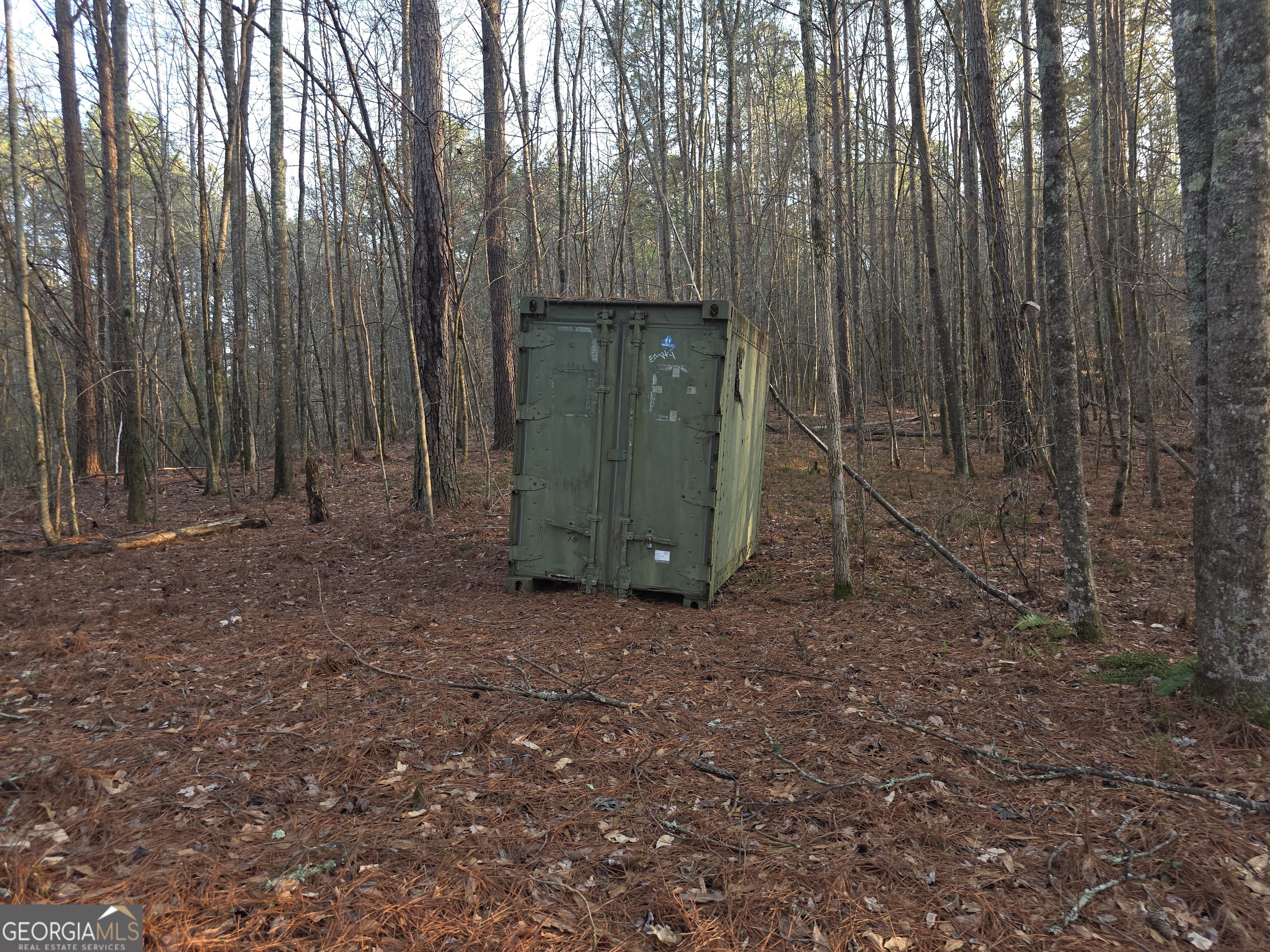 0 Golden Road Temple, GA 30179 - Photo 9 of 11