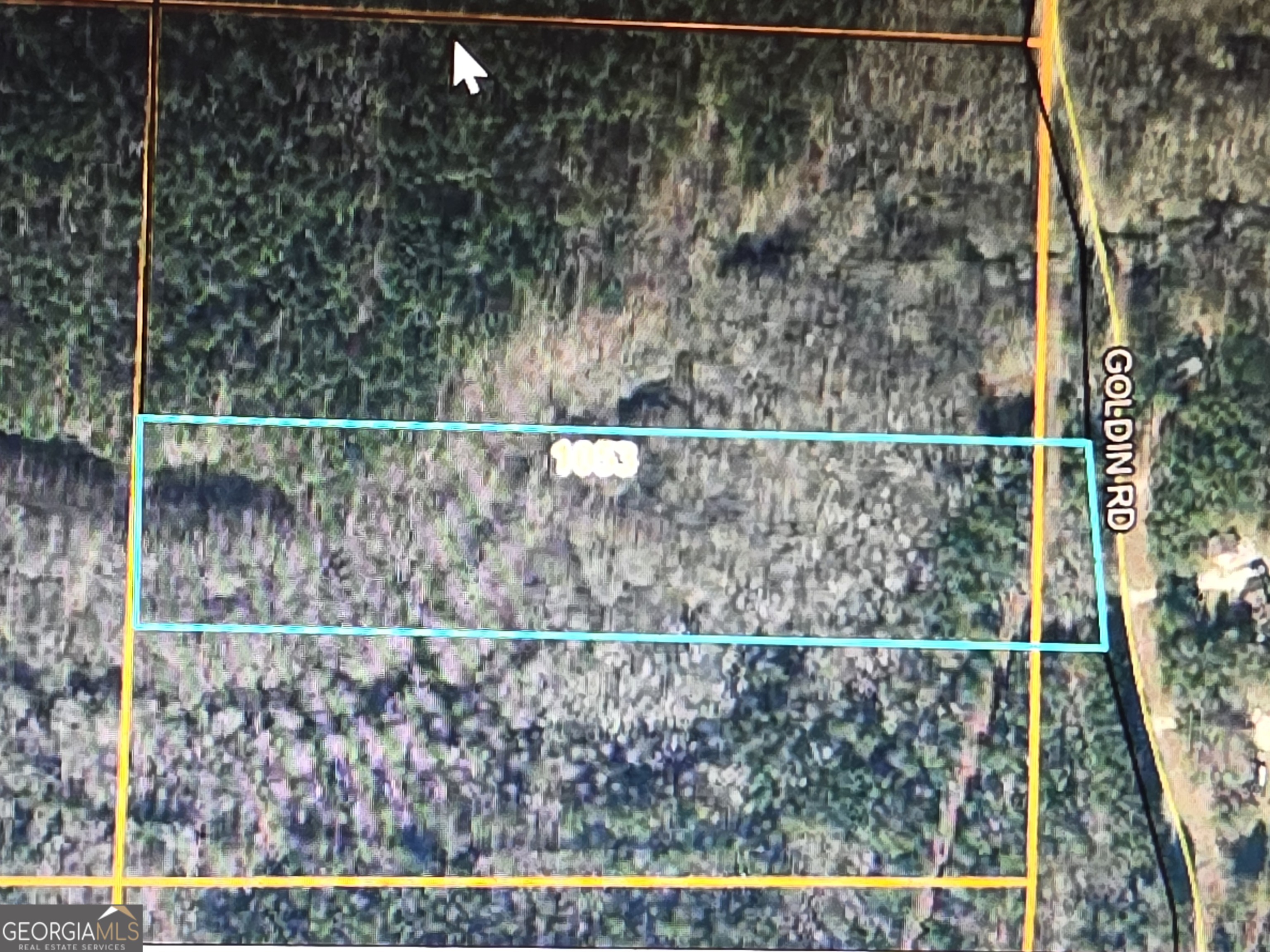 0 Golden Road Temple, GA 30179 - Photo 10 of 11