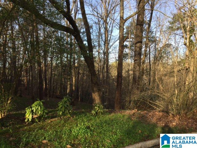 River Ridge Drive, Unit 9T Birmingham, AL 35244 - Photo 1 of 1