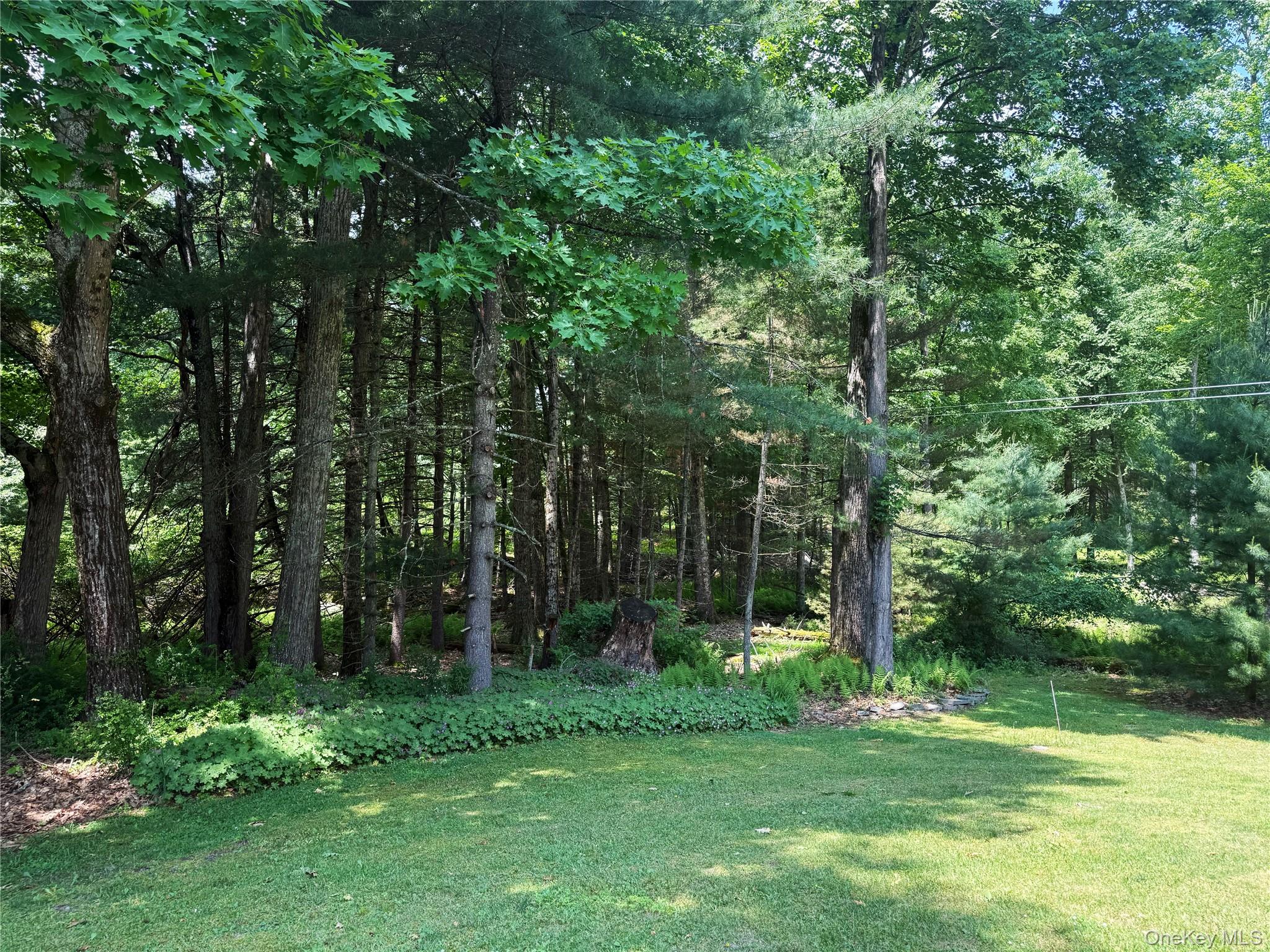 1222 Sackett Lake Road Forestburgh, NY 12777 - Photo 3 of 27