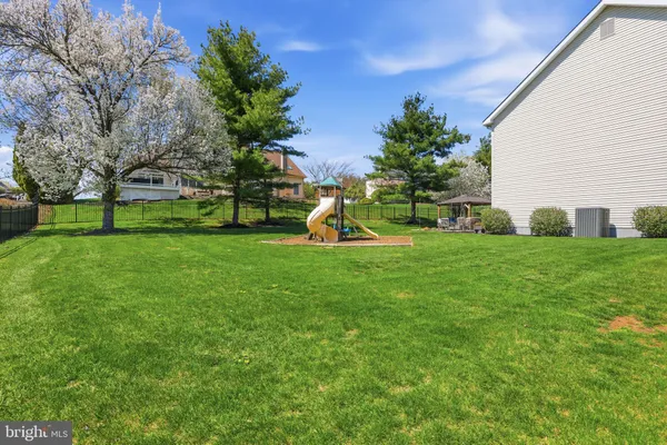 a view of a park with large trees