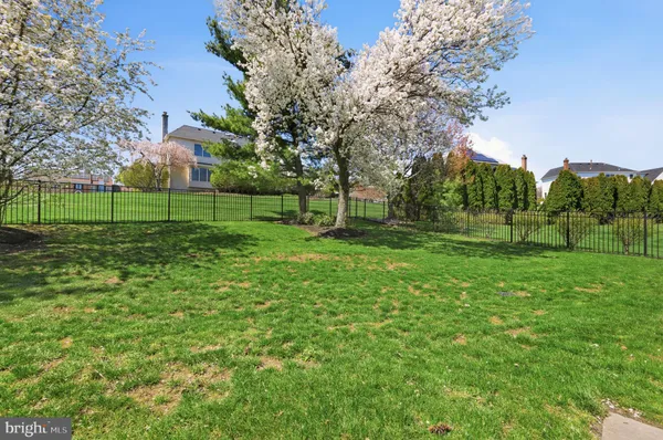 a view of a park with large trees